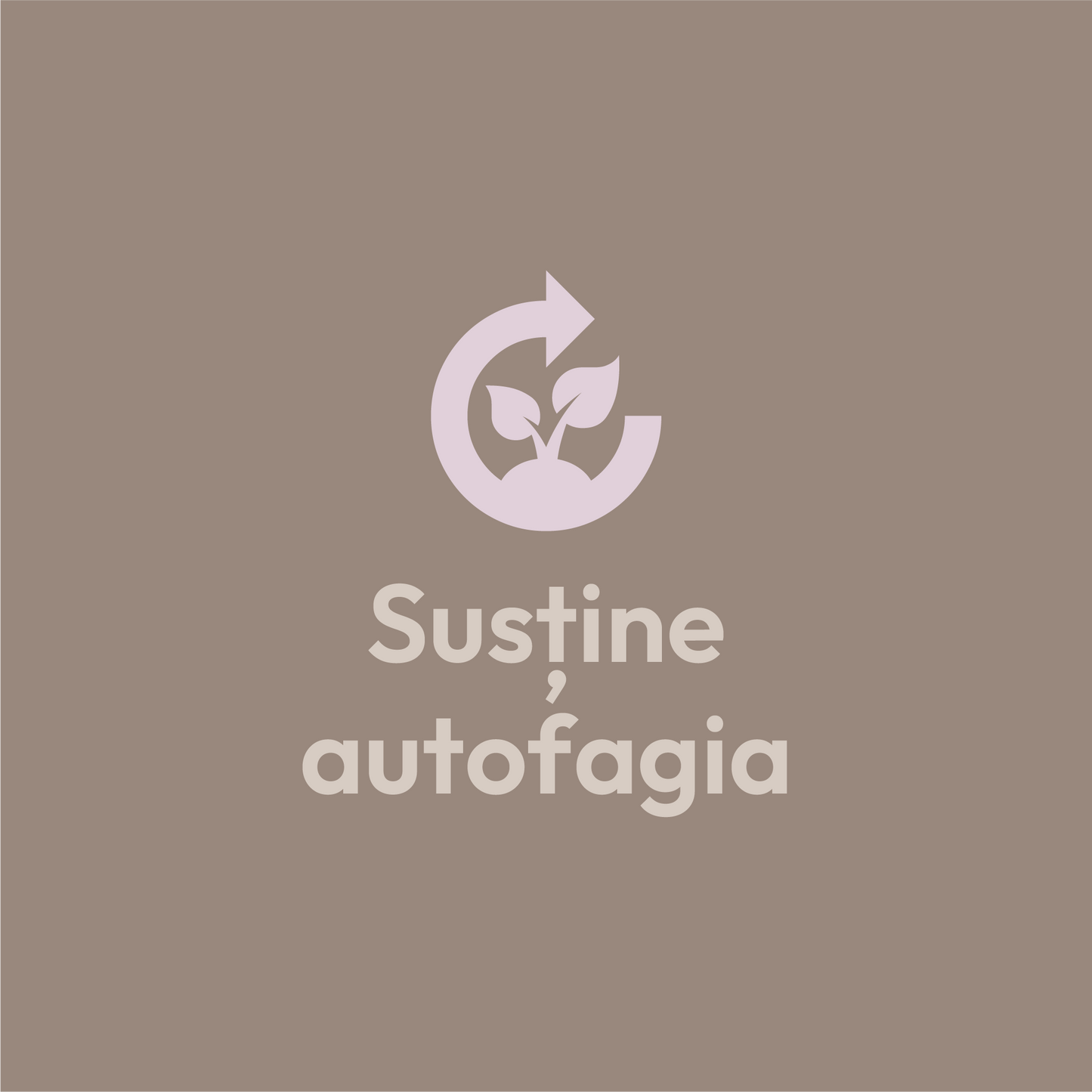 Spermidina - capsule 3mg - susține procesul de autofagie