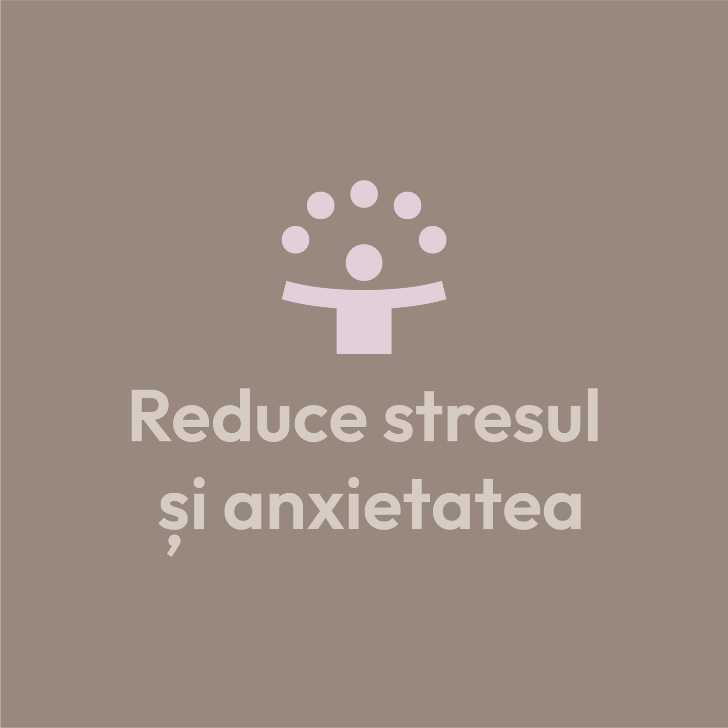 L-teanină 400 mg