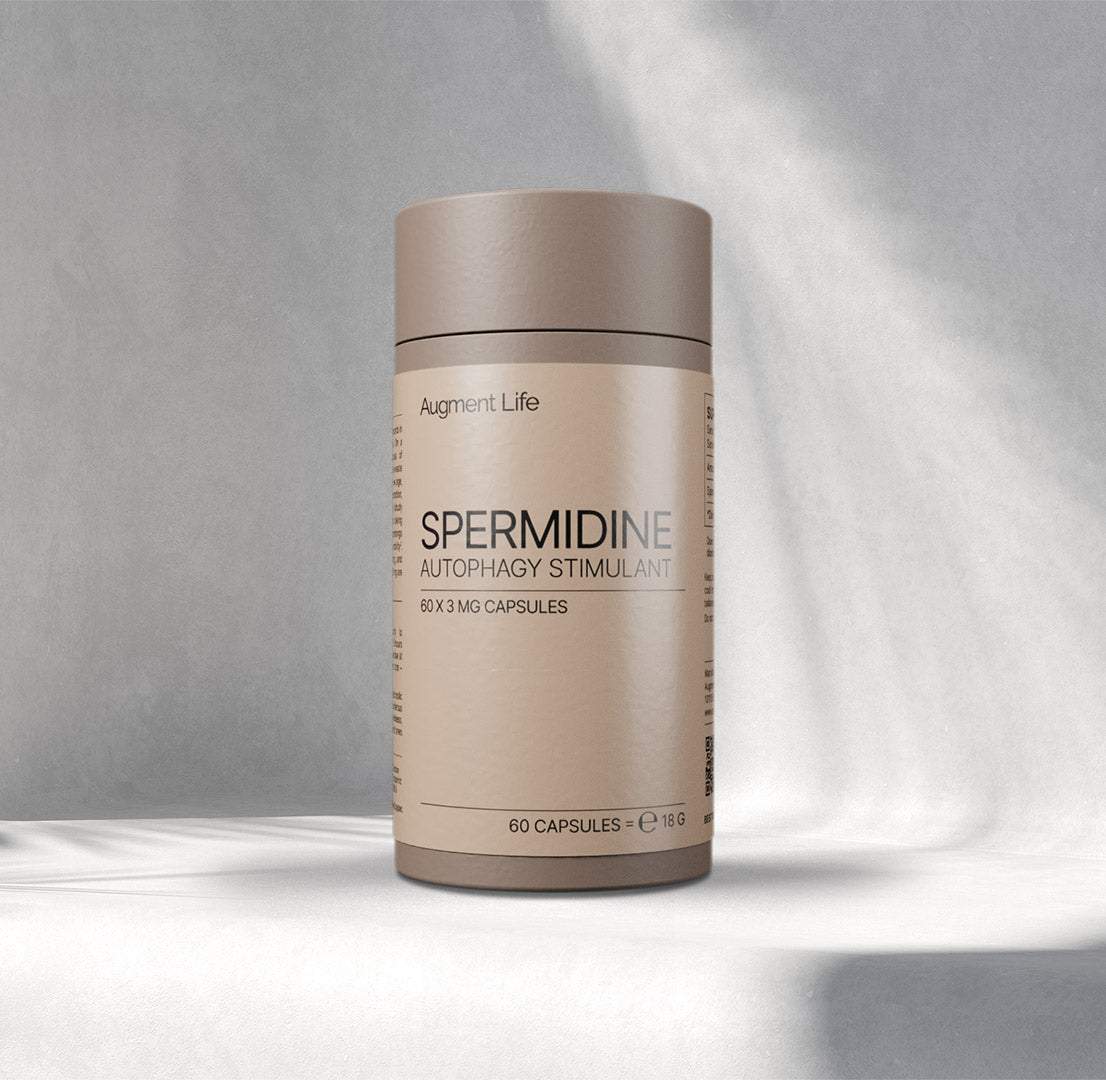 Spermidina - capsule 3mg - susține procesul de autofagie