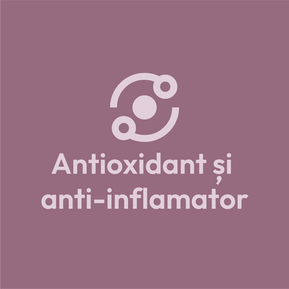 Ginseng - 300 mg x 90 capsule - anti oxidant - anti inflamator
